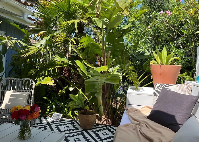 Casa Bambou An Hidden Gem Near Saint Tropez With Private Pool 別荘 ガッサン