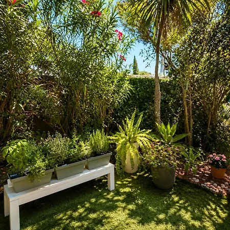 Casa Bambou An Hidden Gem Near Saint Tropez With Private Pool Tatil Evi
