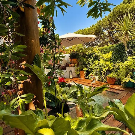 Tatil Evi Casa Bambou An Hidden Gem Near Saint Tropez With Private Pool *